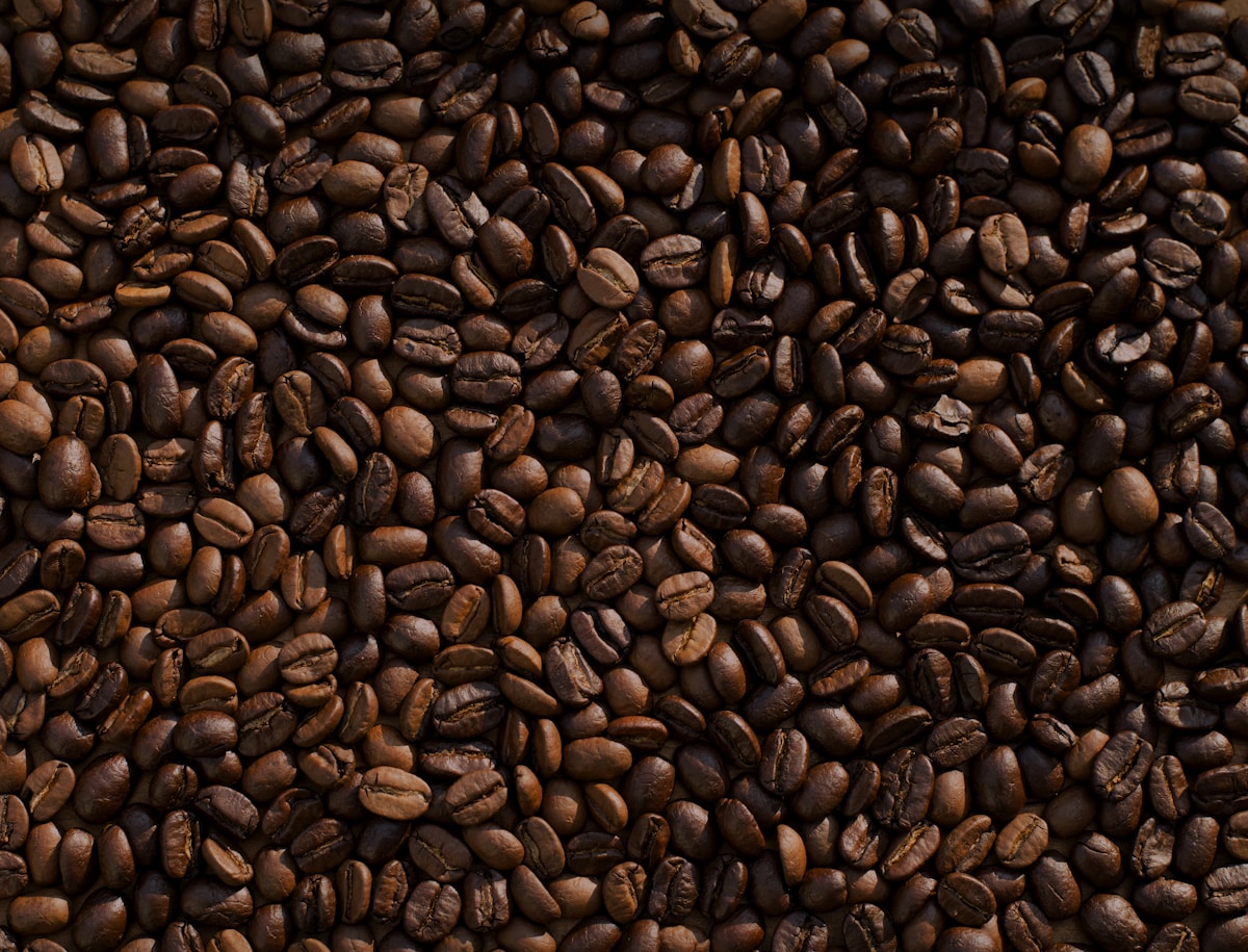 Sample roaster bench used for profile development sessions